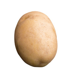 Potato