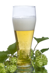 Glass of light beer and branch of hop