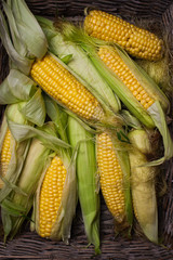 Fresh corn on cob in wicker basket. Rustic wooden table
