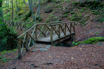 Wooden bridge in the wood