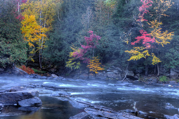 Algonquin river rapids in fall