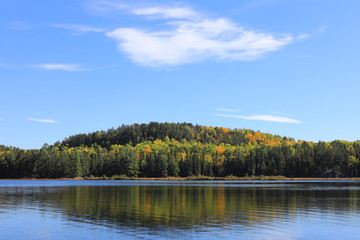 Fototapeta na wymiar Algonquin lake and trees in fall