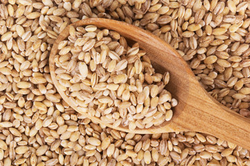 barley