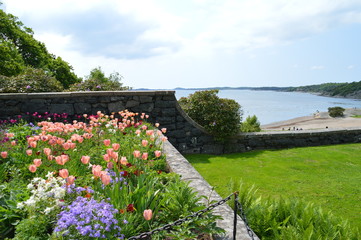 Blick vom Garten auf den Strand