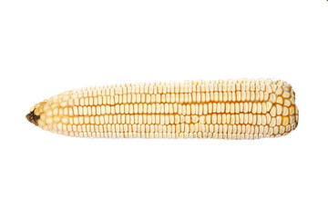 white corn isolated on white background