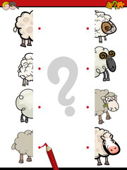 educational activity of joining halves