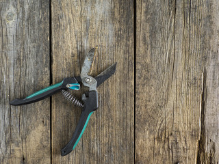 Old garden secateurs