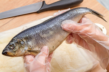 Salted herring in hands