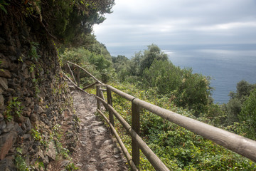 Fototapeta na wymiar Hiking trail at Mediterranean coast of the Cinque Terre Italy