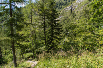Mountain path and landscape above the Furio Bianchet refuge in the Vescova valley, Belluno Dolomites