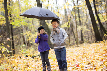 Happy children playing in beautiful autumn park