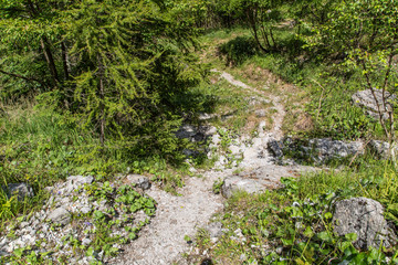 Obraz premium Mountain path and landscape above the Furio Bianchet refuge in the Vescova valley, Belluno Dolomites