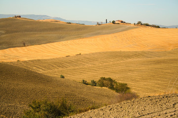 Obraz premium Landscape of tuscan countryard, Tuscany Italy 