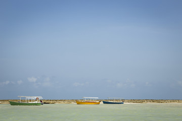 Carneiros beach in Porto de Galinhas, Recife, Pernambuco - Brazi