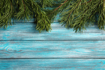 Fir tree branch on a blue wooden table