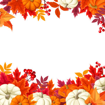 Vector background frame with orange and white pumpkins and colorful autumn leaves.
