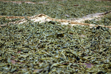 drying tea leaves