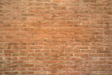Fototapeta premium Brick wall