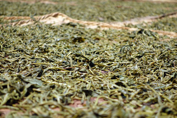 drying tea leaves