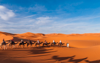 Karawane in den Dünen der Sahara bei Merzouga (Erg Chebbi); Marokko - obrazy, fototapety, plakaty