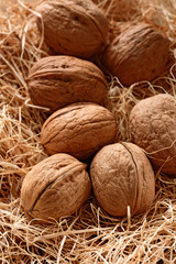 noci biologiche nella paglia