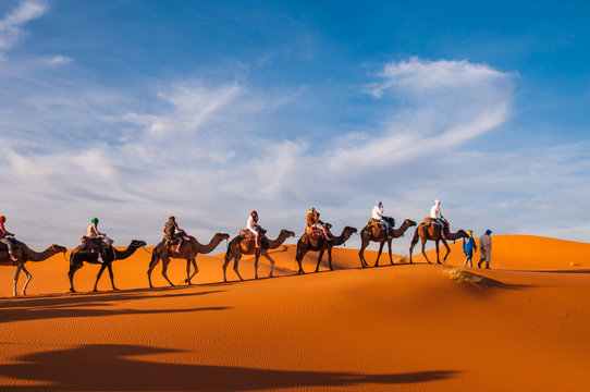 Karawane in den Dünen der Sahara bei Merzouga (Erg Chebbi); Marokko