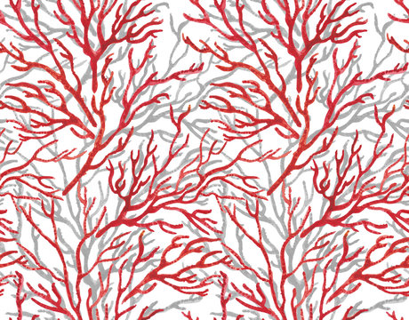 Watercolor painting Seamless sea Coral Print Pattern on white background.