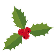 Symbol of Cristmas - holly berry. Vector icon.