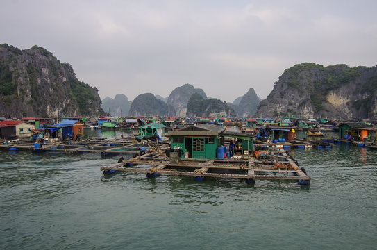  View of Ha Long bay floating village, Vietnam.