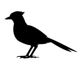 Bird icon. Animal life nature and fauna theme. Isolated black and white design. Vector illustration