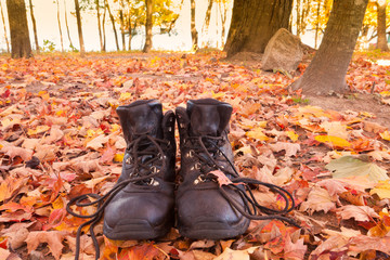 Old leather hiking boots autumn fall forest hike