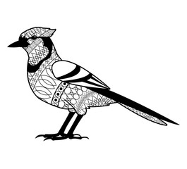 Bird icon. Animal life nature and fauna theme. Isolated black and white design. Vector illustration