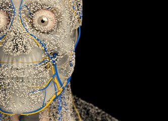 Human anatomy face, front of head , close-up, covered in network of dots. Bio-tech skin, disease or molecular biology. Sensory points or cells. 3D illustration.