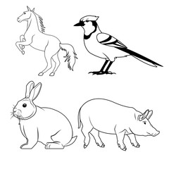 rabbit horse bird and pig icon. Animal life nature and fauna theme. Isolated black and white design. Vector illustration