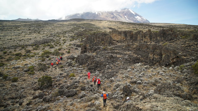 Kilimanjaro mountain. trekking. africa. uhuru. kilimanjaro peack