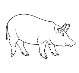 Pig icon. Animal life nature and fauna theme. Isolated black and white design. Vector illustration
