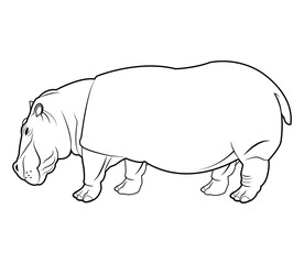 Hippo icon. Animal life nature and fauna theme. Isolated black and white design. Vector illustration