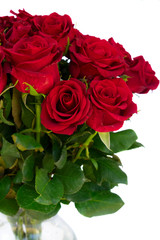 Bouquet of dark red rose buds with green leaves close up isolated on white background