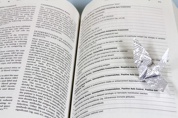 Bird folded white paper In book