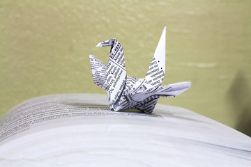 Bird folded white paper In book