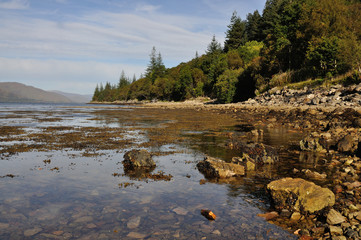 Fototapeta premium Scottish view