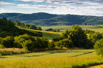 Mountain landscape