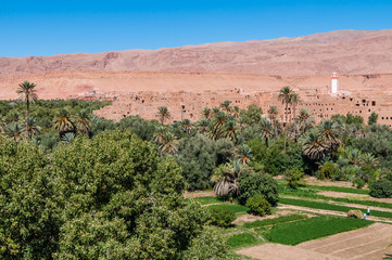 Oasenstadt Tinghir (Tinerhir) im Süden Marokkos