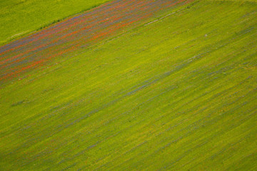 Castelluccio di Norcia