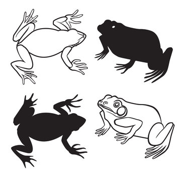 Two frog silhouettes