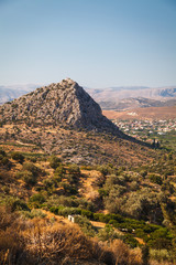 A Mountain behing Olive Trees