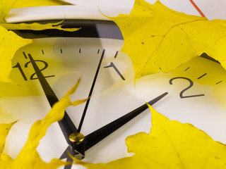 Fall Back, Winter Time. Daylight Saving Time. When local daylight time is about to reach 2 AM...