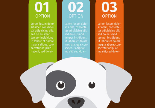 Bulldog Face Illustration Element Dog and Pet Care Infographic
