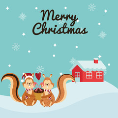 couple of squirrel cartoon icon. Christmas season card decoration and celebration theme. Colorful design. Vector illustration