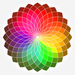 Obraz premium Koło kwiatowe kolor